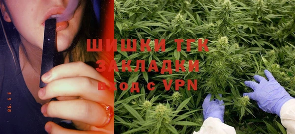 сатива Покров