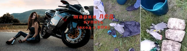 сатива Покров