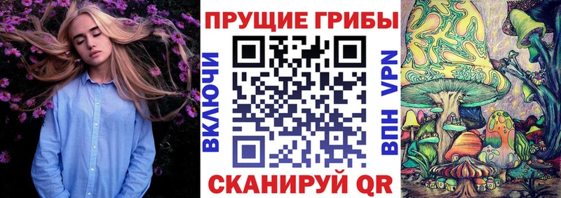 Купить  Каневская  Галлюциногенные грибы Cubensis 